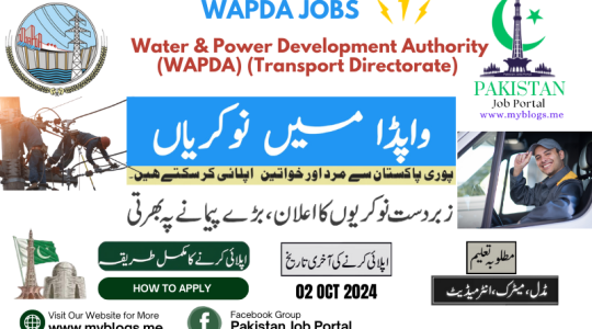 Jobs In WAPDA (Transport Directorate) 2024